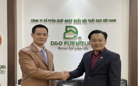 Đối tác chiến lược của thương hiệu nội thất sofa D&D: Xây dựng mạng lưới đối tác đáng tin cậy và hợp tác lâu dài